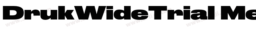 DrukWideTrial Medium字体转换